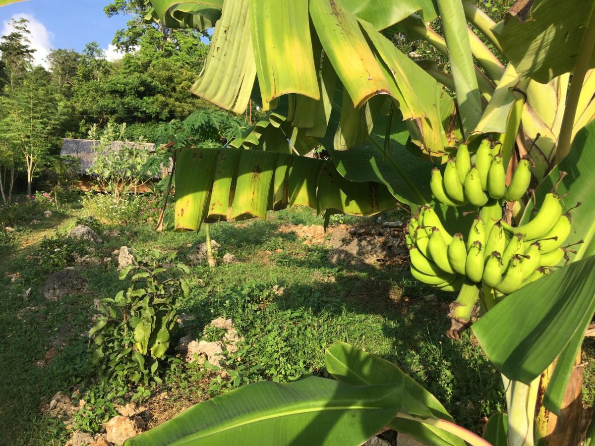 Little Nomads Eco-Guesthouse Đảo Đảo Siquijor Ngoại thất bức ảnh