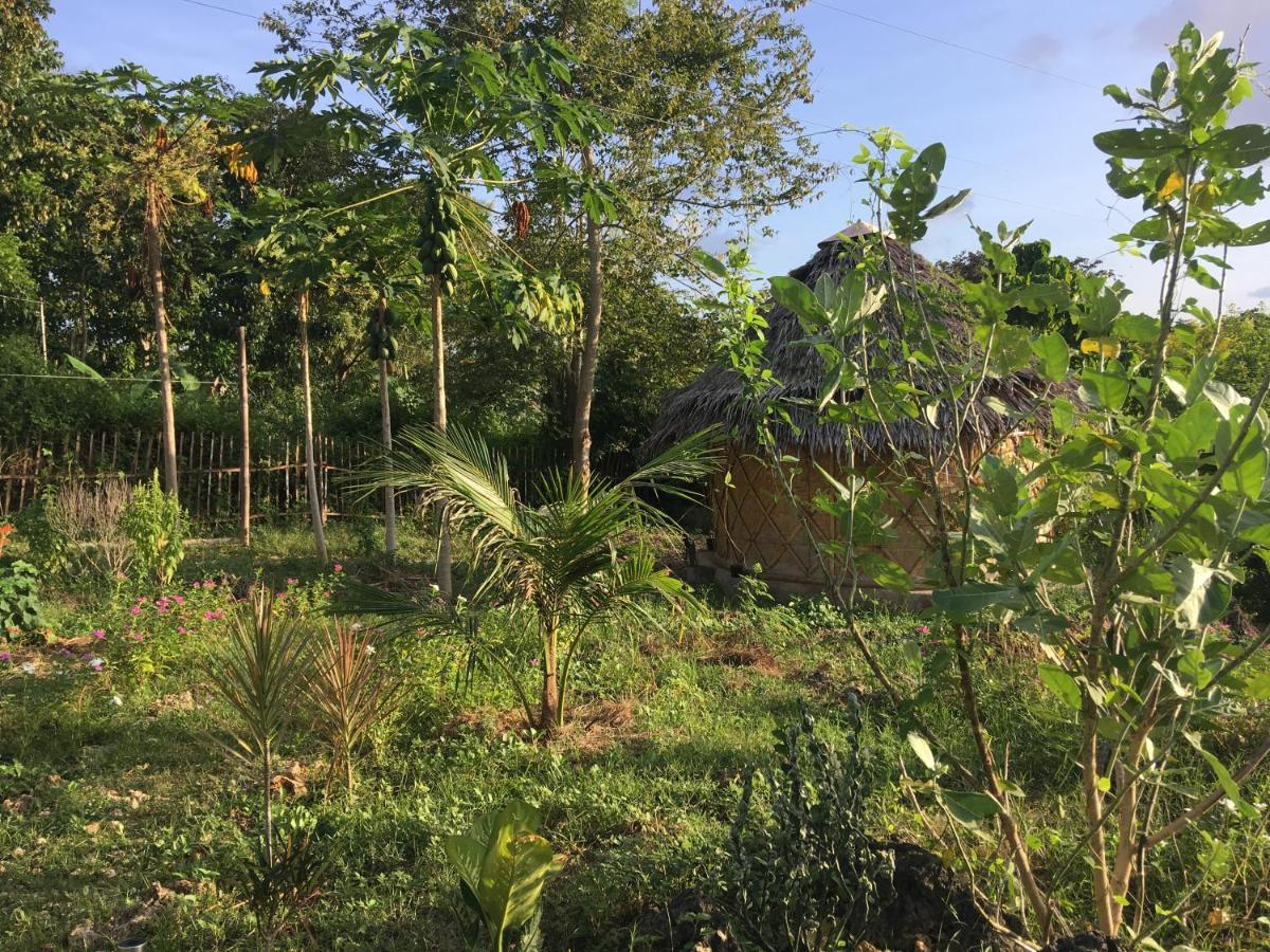 Little Nomads Eco-Guesthouse Đảo Đảo Siquijor Ngoại thất bức ảnh